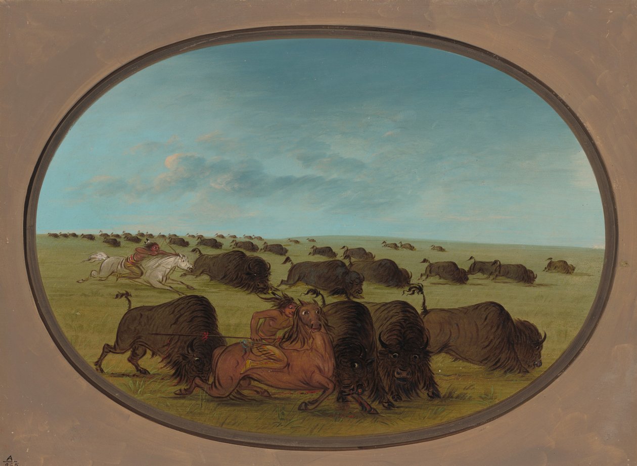 Buffalo Chase, s nehodami, 18611869. od George Catlin