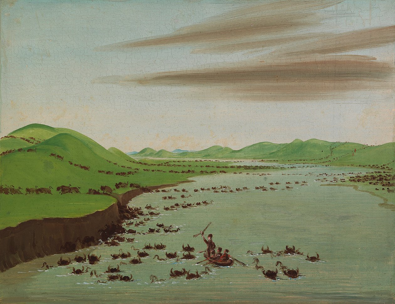 Stáda bizonů na horním toku Missouri od George Catlin