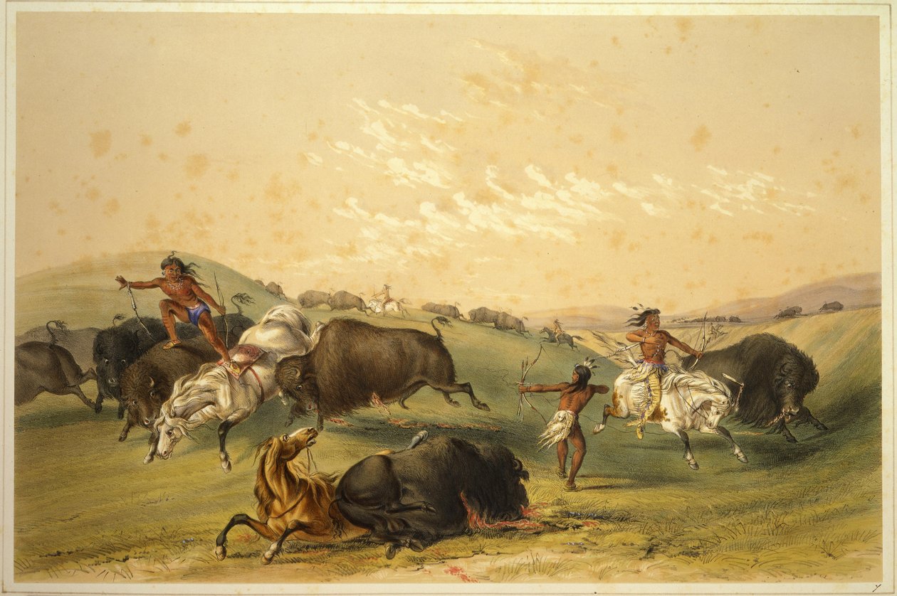 Lov na bizona: Početná skupina od George Catlin