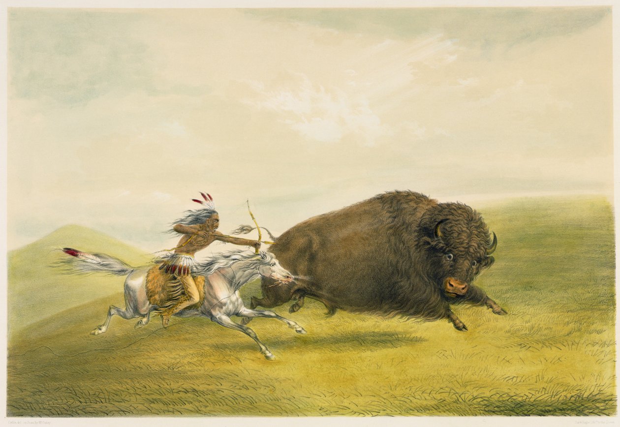 Buffalo Hunt Chase (barevná litografie) od George Catlin