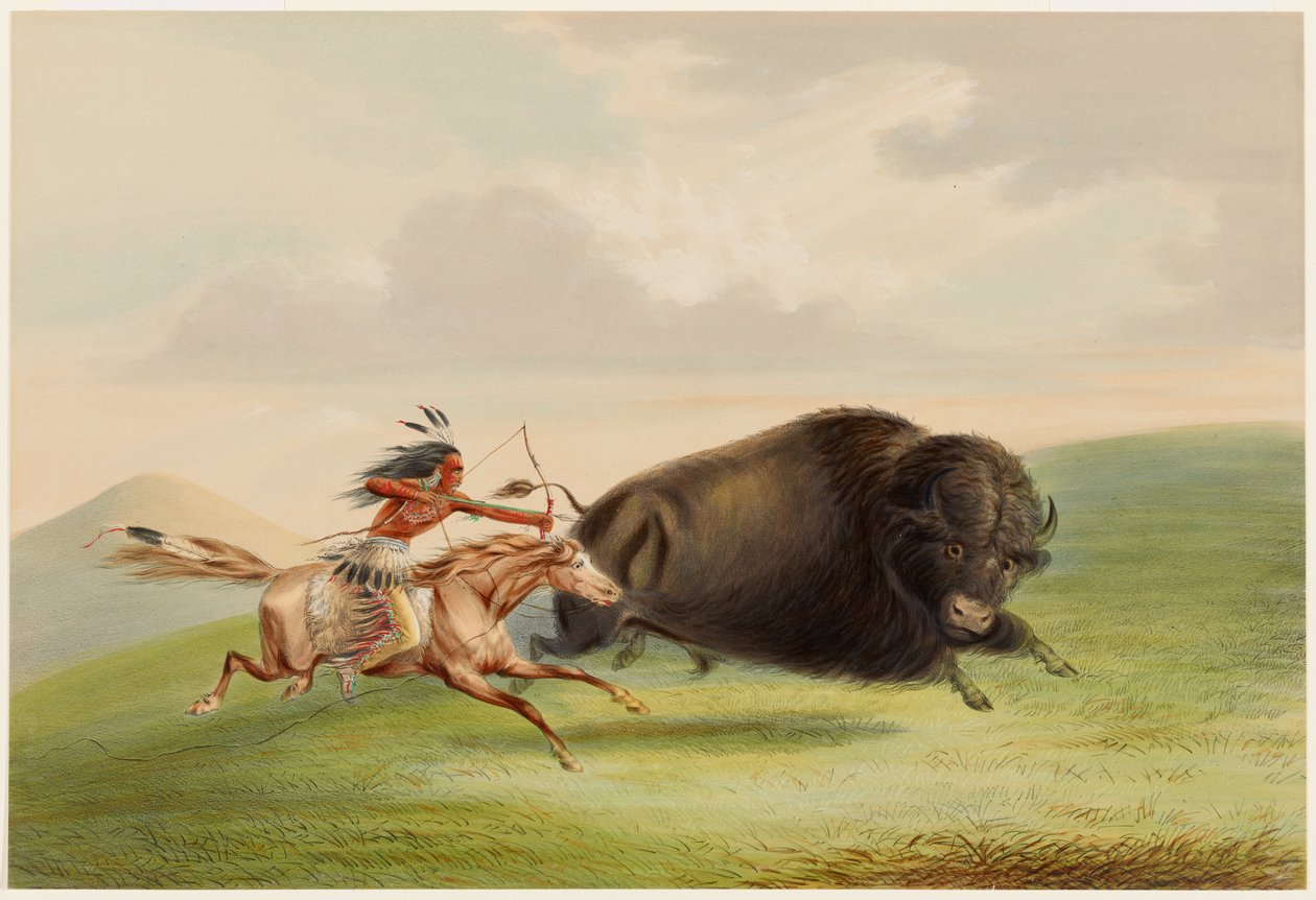Lov na bizony, honička od George Catlin