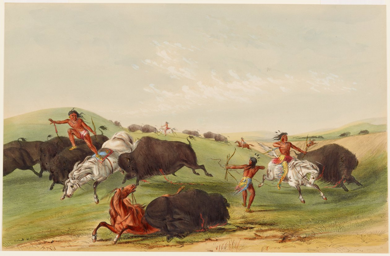 Lov bizonů: pronásledování od George Catlin