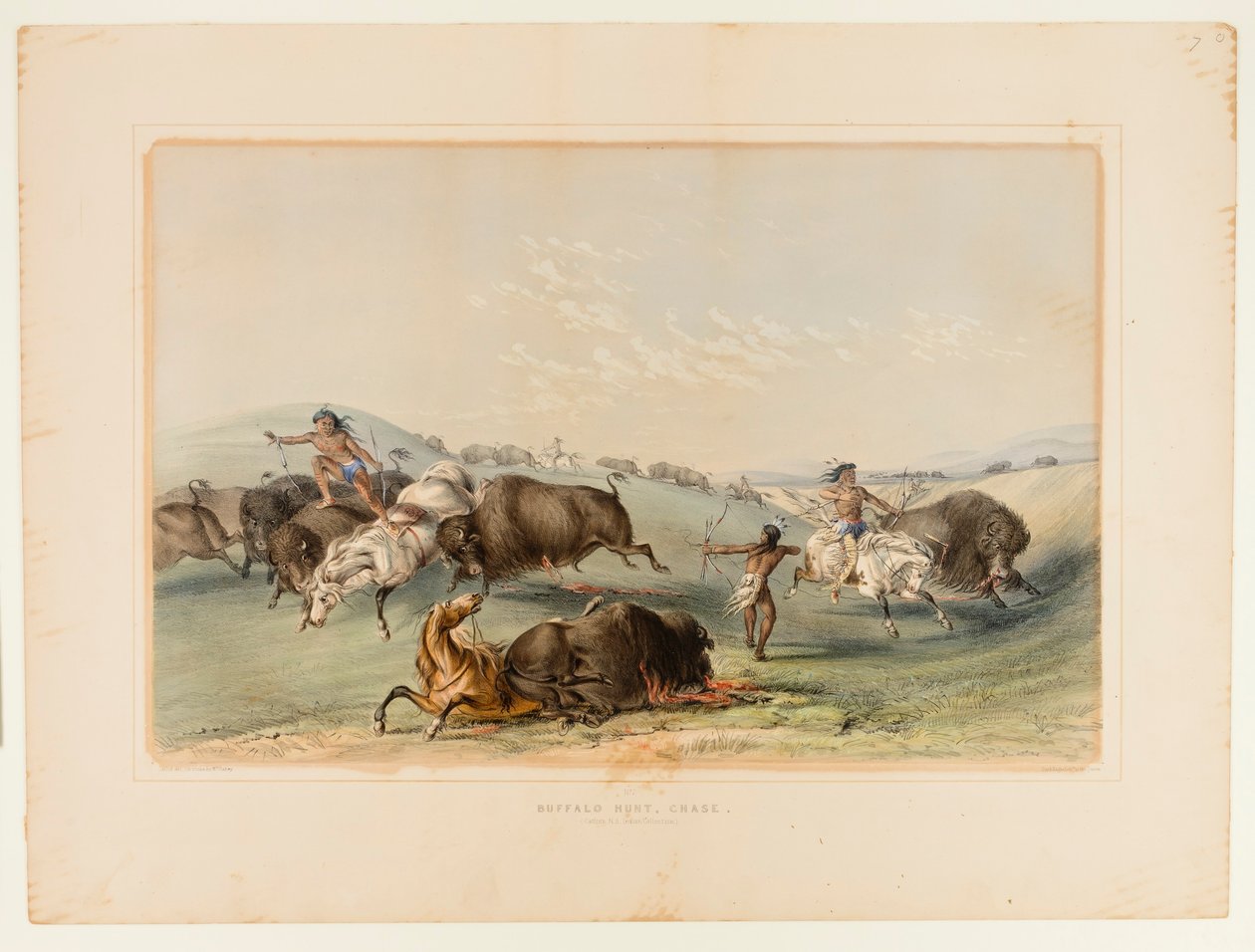 Buffalo Hunt, Chase No. 7 od George Catlin