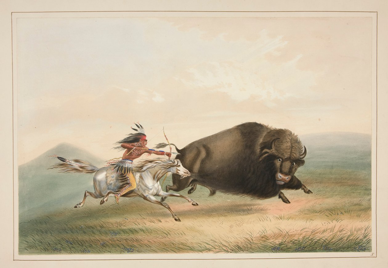 Buffalo Hunt, Chase, pl. 5 z portfolia severoamerických indiánů od George Catlin