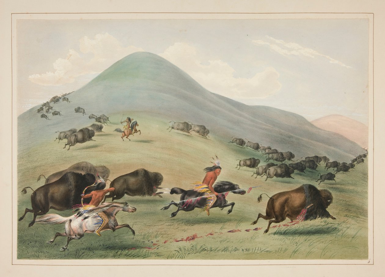 Buffalo Hunt, Chase, pl. 6 z portfolia severoamerických indiánů od George Catlin