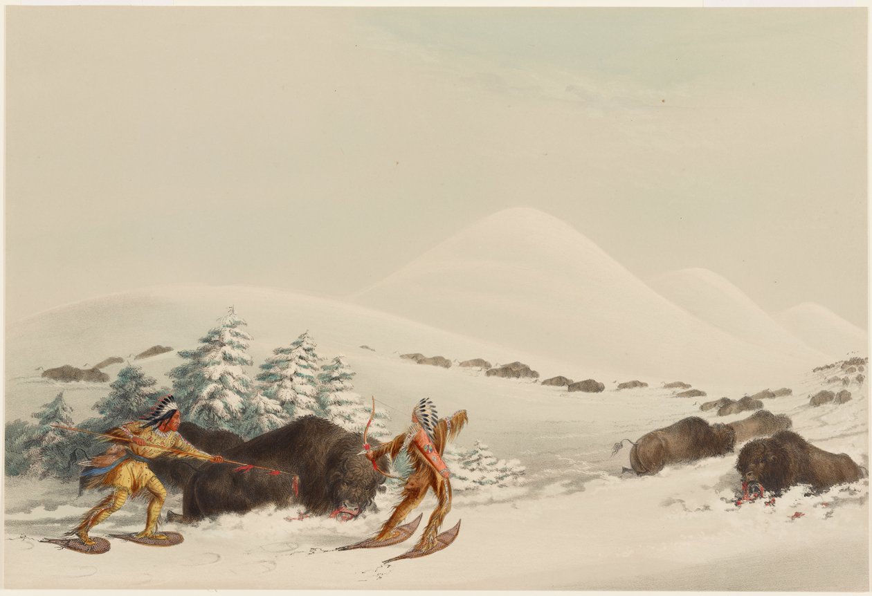 Lov bizonů na sněžnicích od George Catlin