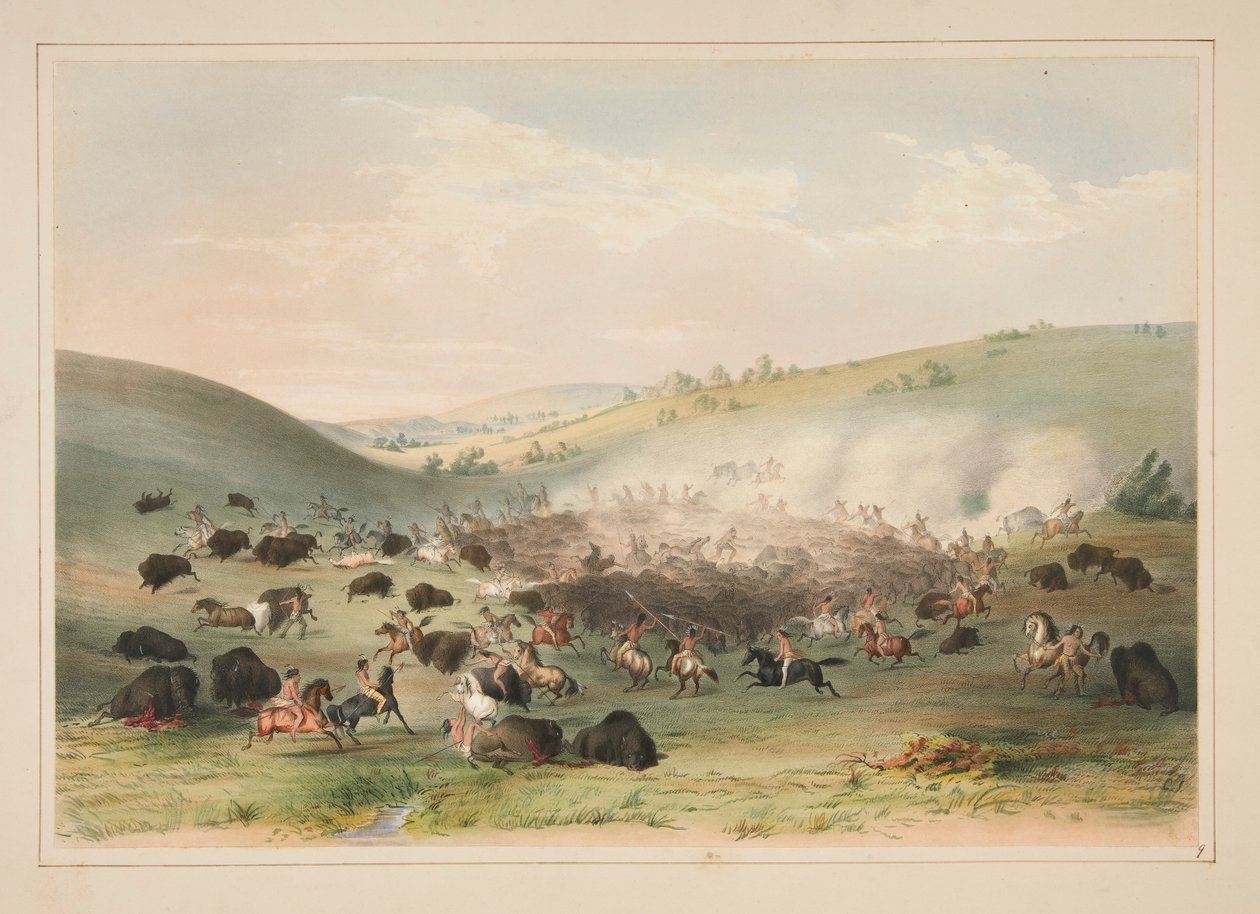 Buffalo Hunt, Surround, pl. 9 z portfolia severoamerických indiánů od George Catlin