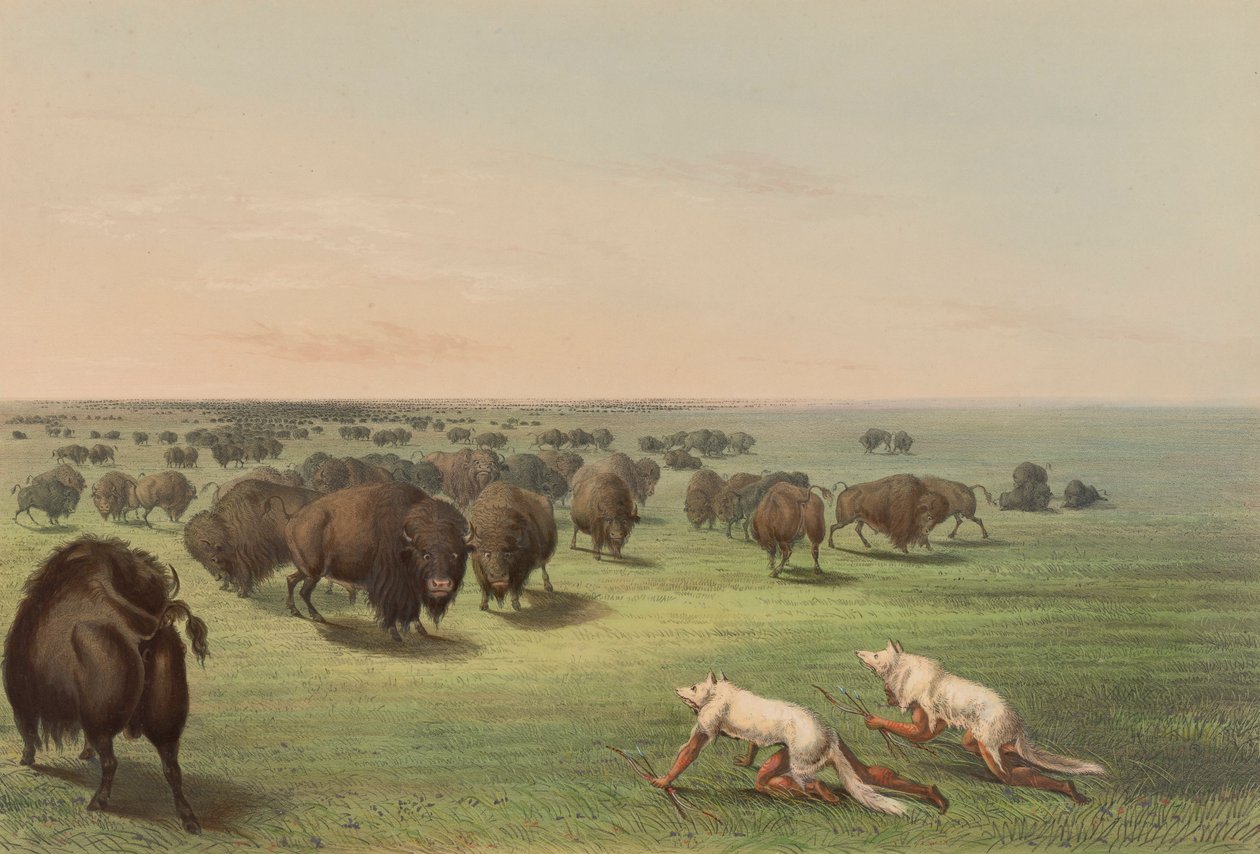 Buffalo Hunt, S vlčí kůží, pl. 13 z portfolia severoamerických indiánů od George Catlin