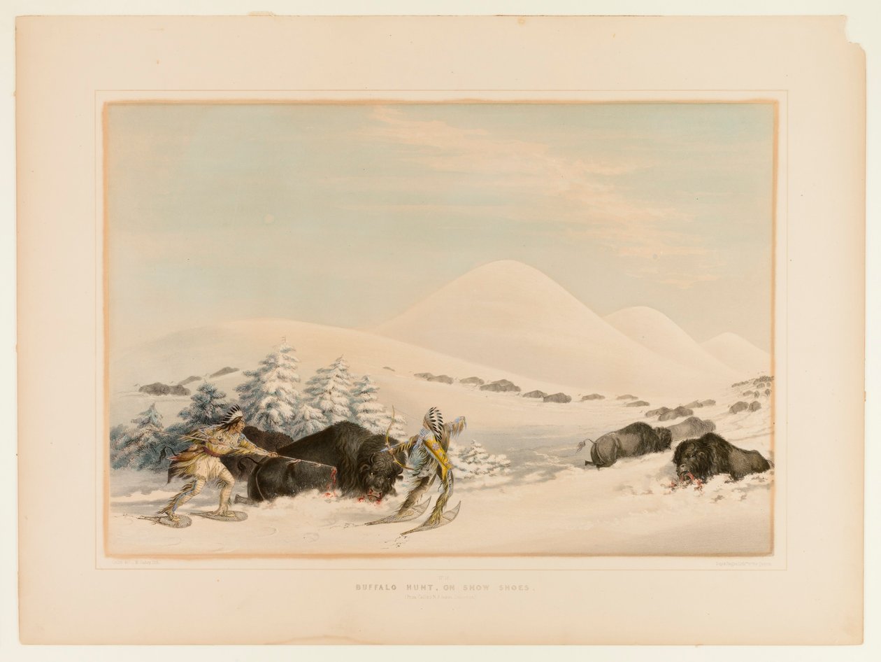 Lov na bizony na sněžnicích - č. 15 od George Catlin