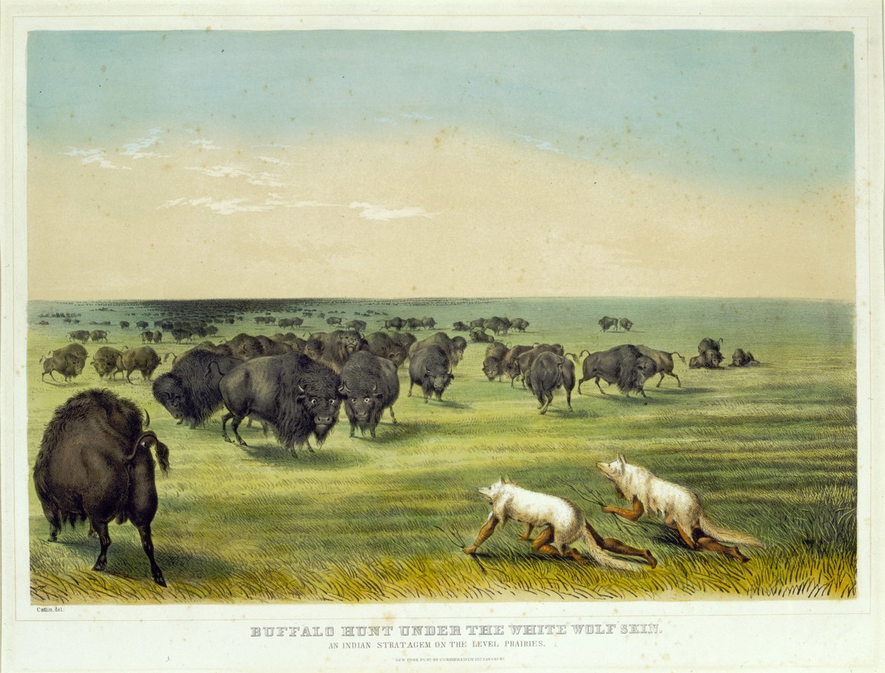 Lov bizonů pod kůží bílého vlka od George Catlin