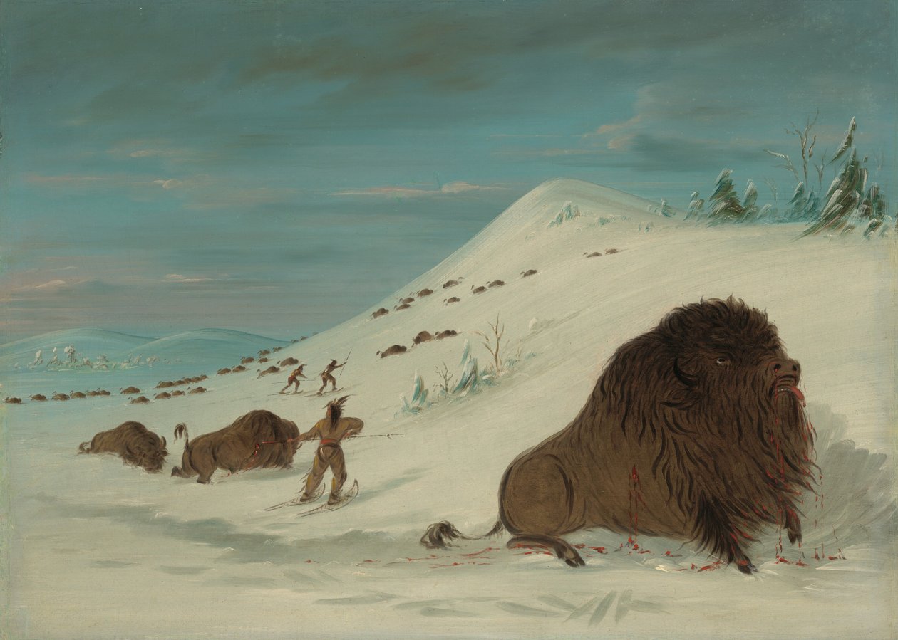 Buffalo Lancing ve sněhových závějích - Sioux, 18611869. od George Catlin
