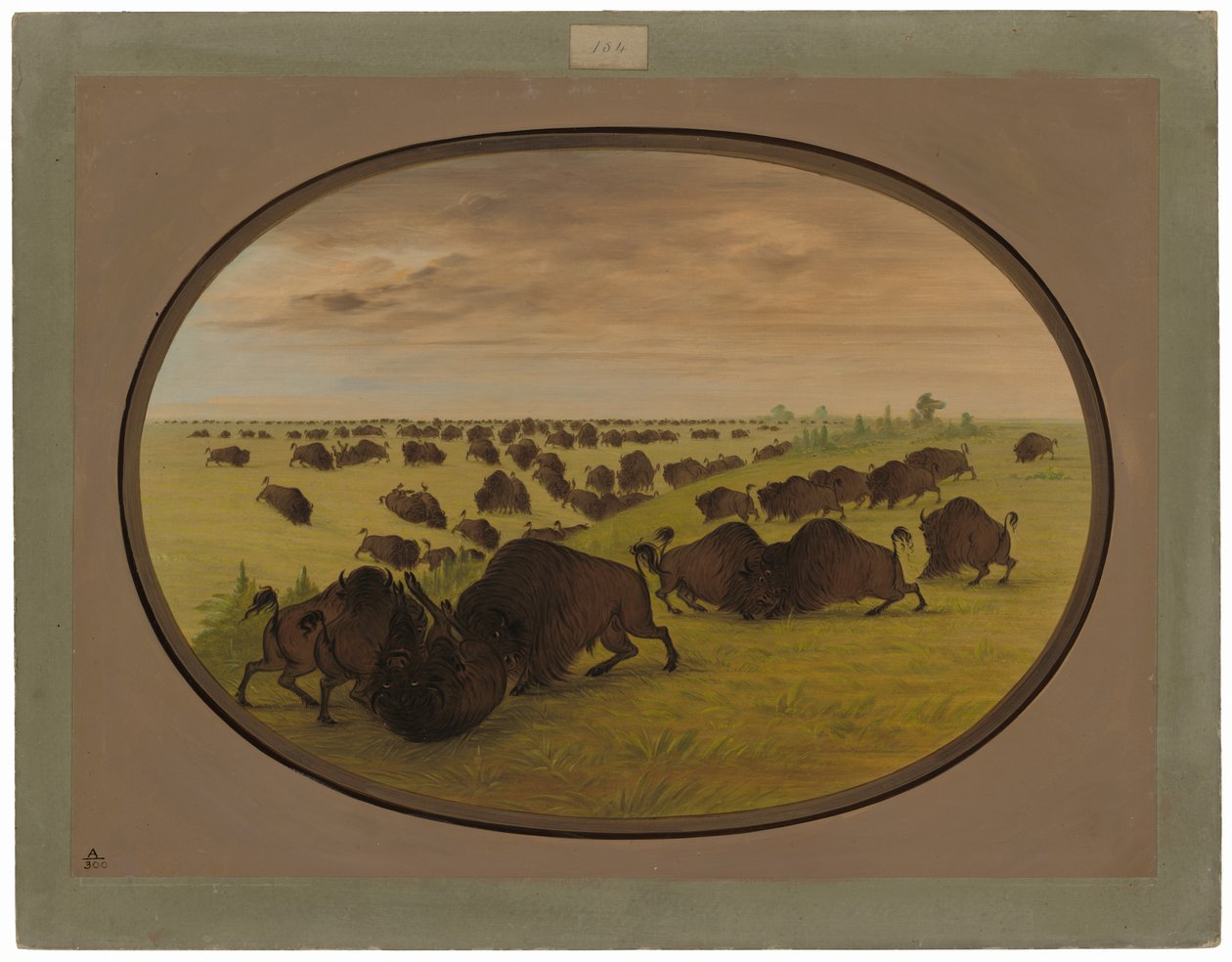 Býci bojují od George Catlin