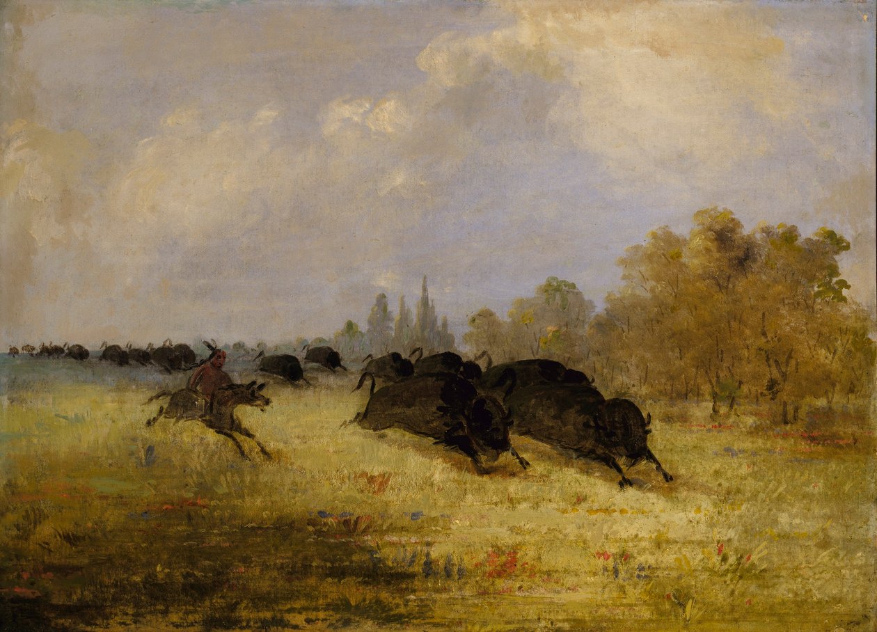 Caddo Indians Chasing Buffalo, Cross Timbers, Texas od George Catlin
