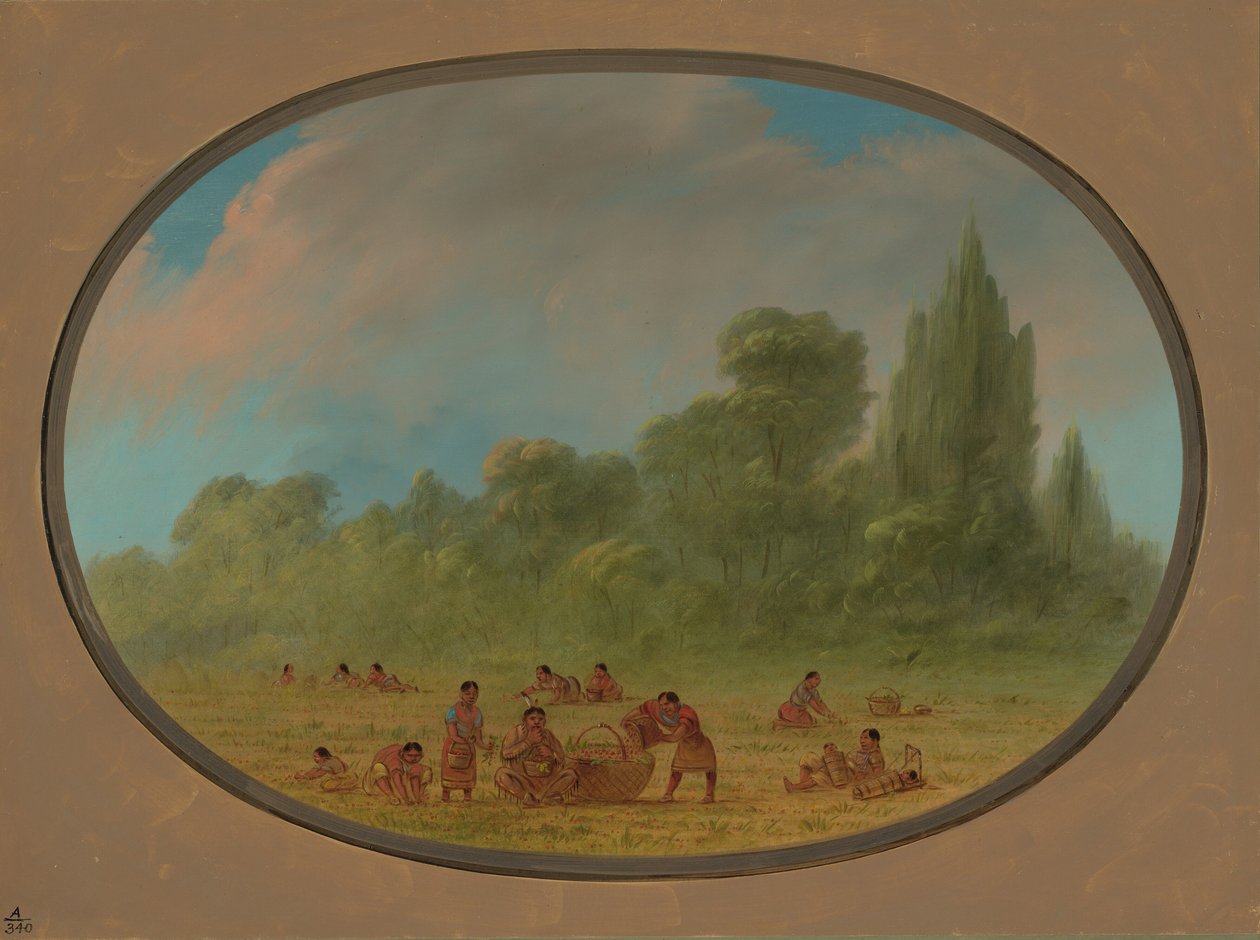 Indiáni Caddo sbírají lesní jahody, 18611869. od George Catlin