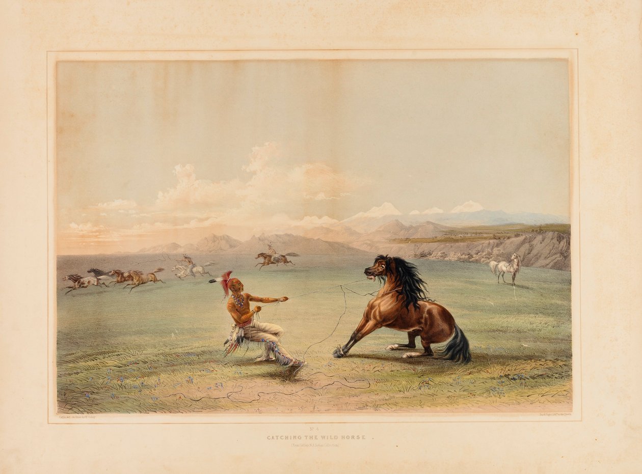 Chytání divokého koně - ne. 4 od George Catlin