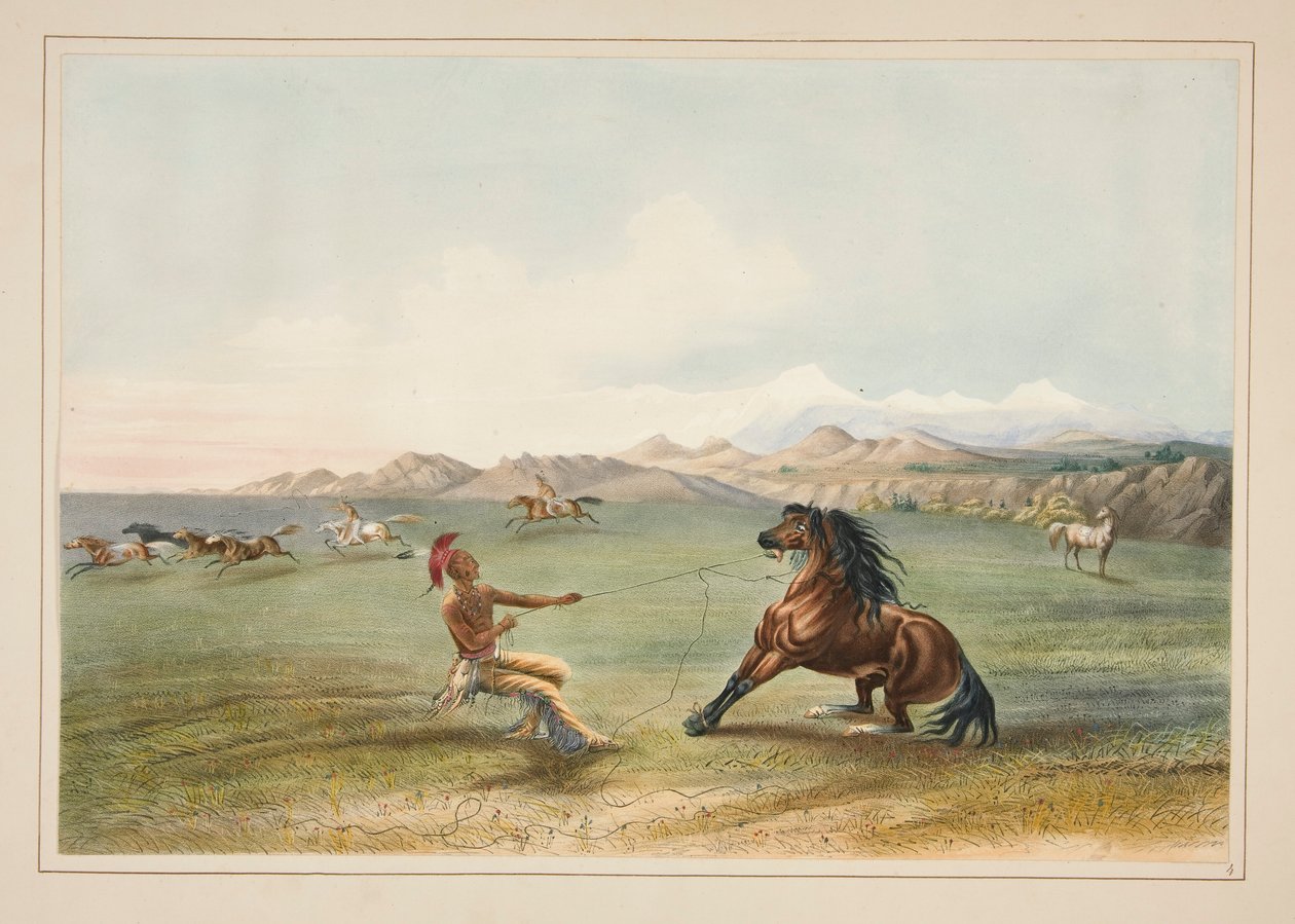 Chytání divokého koně, pl. 4 z portfolia severoamerických indiánů od George Catlin