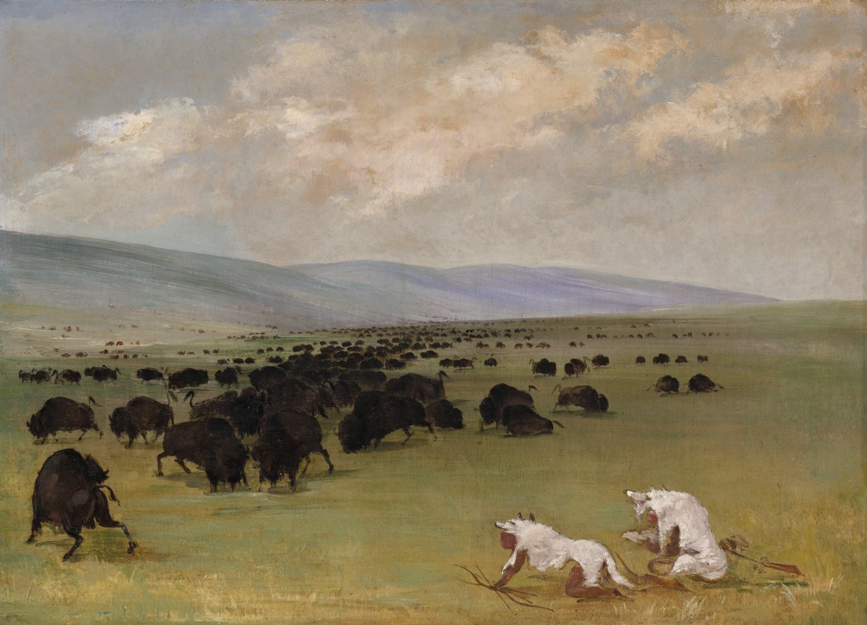 Catlin a jeho indický průvodce se blíží k Buffalovi pod bílou vlčí kůží, 1846-1848. od George Catlin