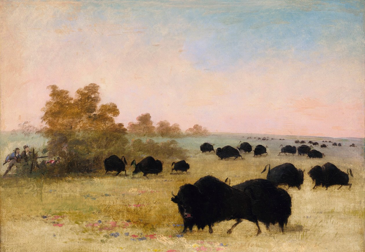 Catlin a Party Stalking Buffalo, Horní Missouri od George Catlin