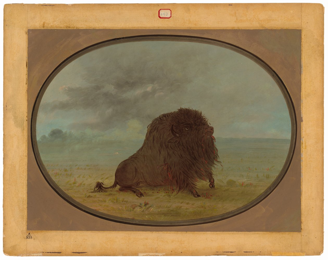 Umírající buvolí býk od George Catlin