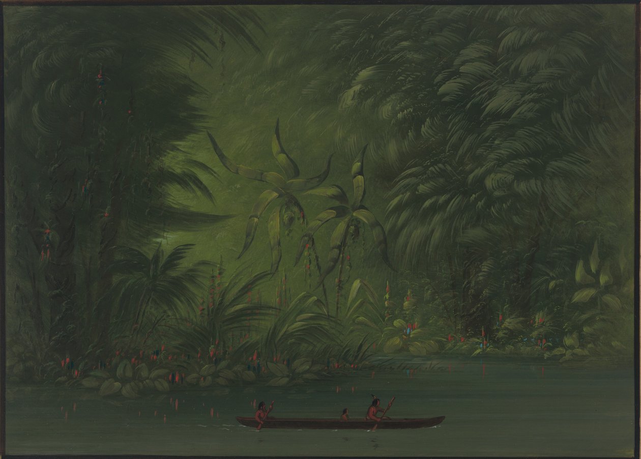 Vchod do laguny, pobřeží Amazonky, 18541869. od George Catlin