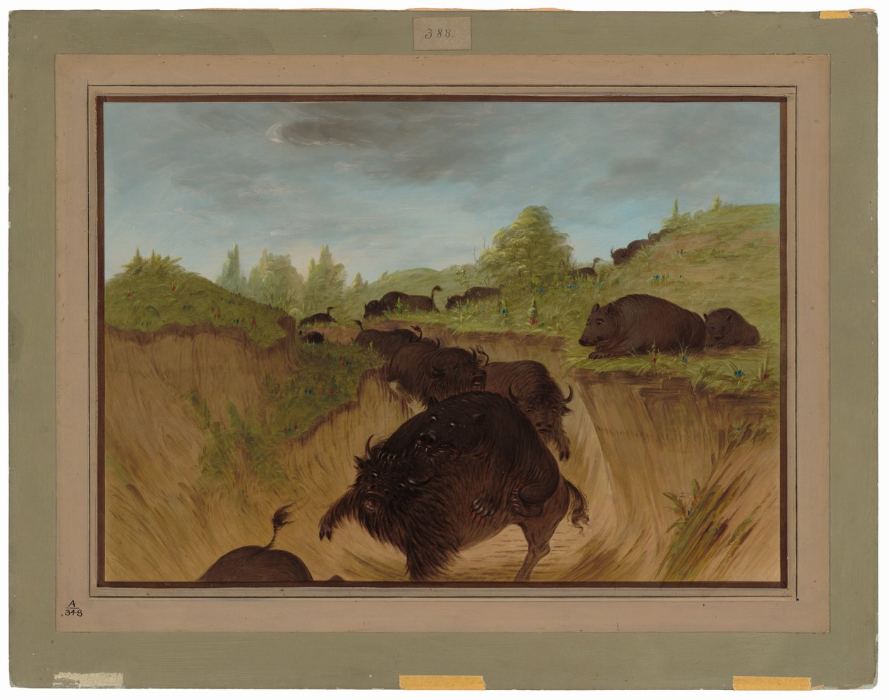 Medvědi grizzly útočí na Buffalo od George Catlin