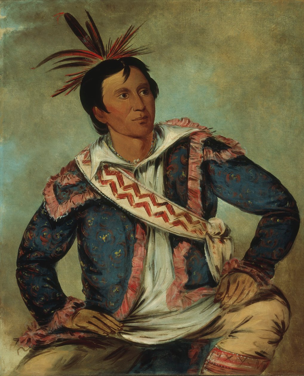Há-tchoo-túc-knee, Želva křehká, polokrevník od George Catlin