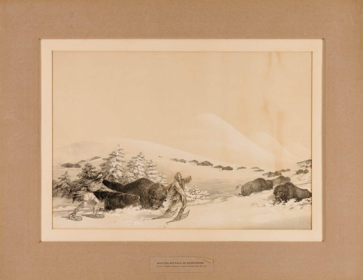 Lov bizonů na sněhu - č. 15 od George Catlin