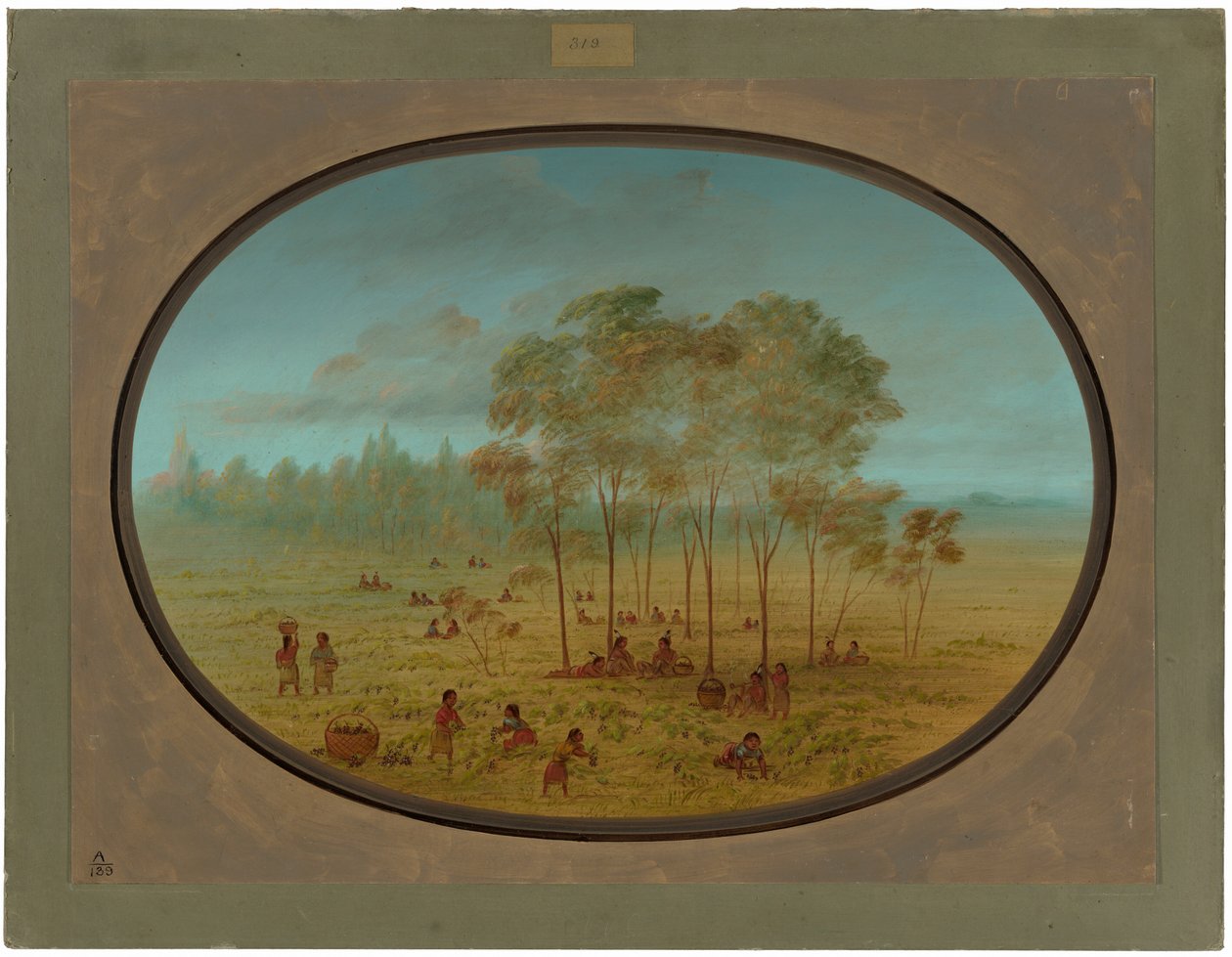 Indiáni Kiowa sbírají divoké hrozny od George Catlin