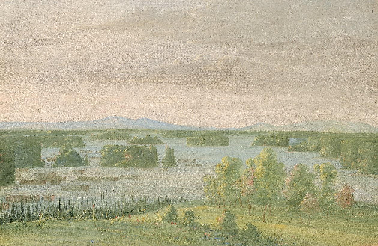 Lac du Cygne (Labutí jezero), poblíž Coteau des Prairies od George Catlin