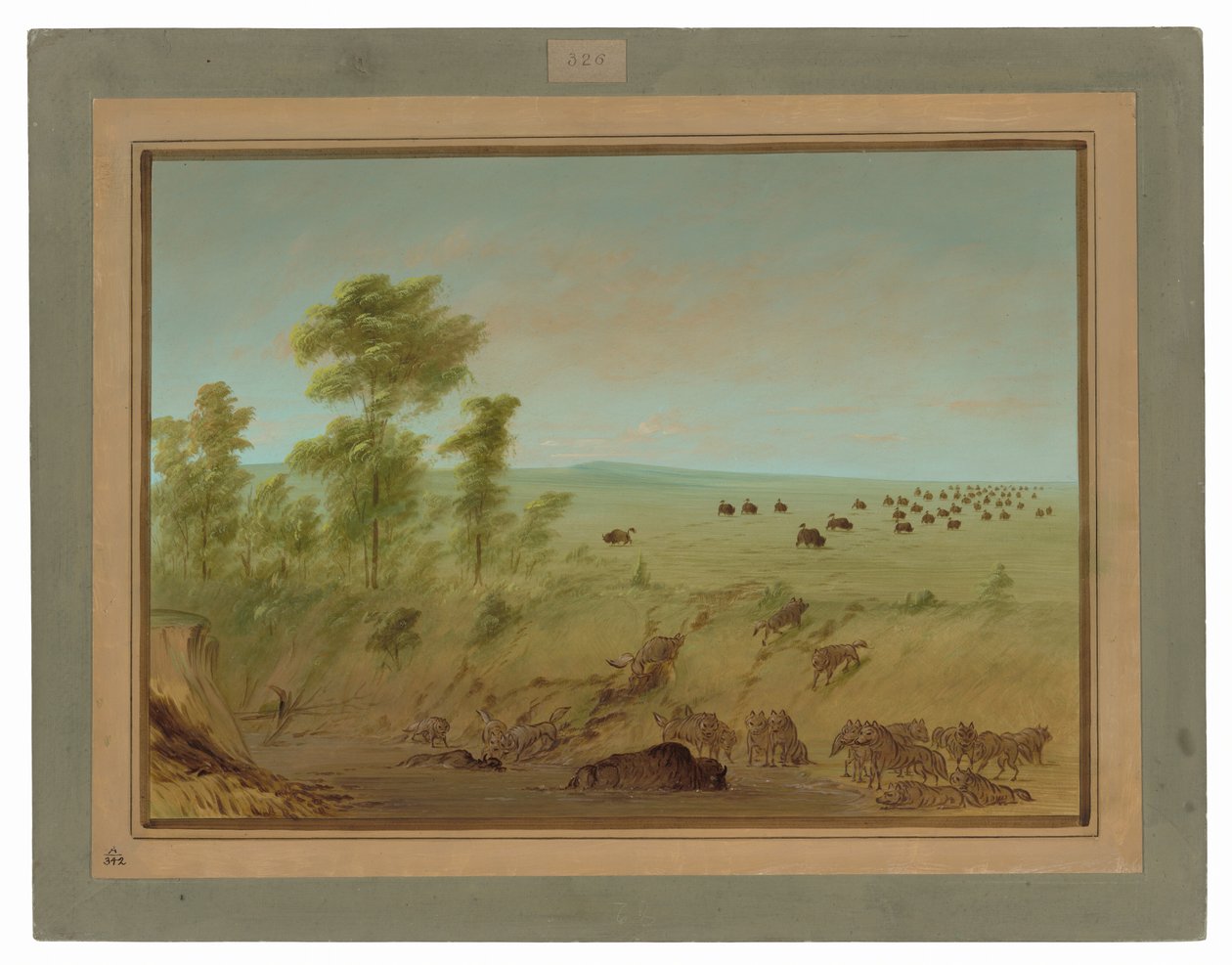 Mired Buffalo a Wolves od George Catlin