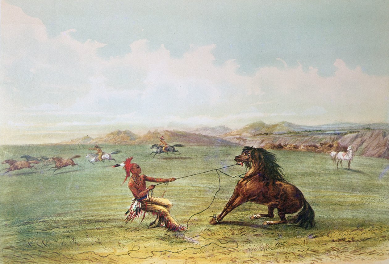 Lovci osage chytající divoké koně (barva litho) od George Catlin