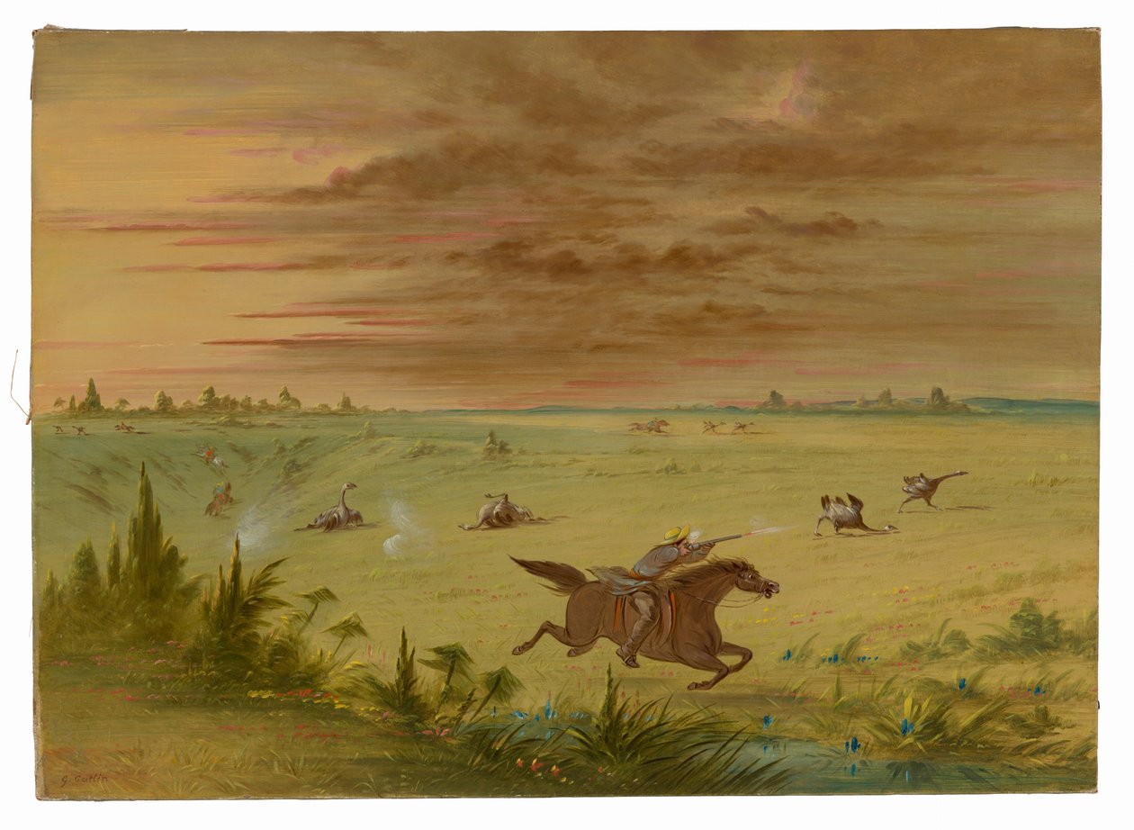 Ostrich Chase, Buenos Aires - Auca od George Catlin