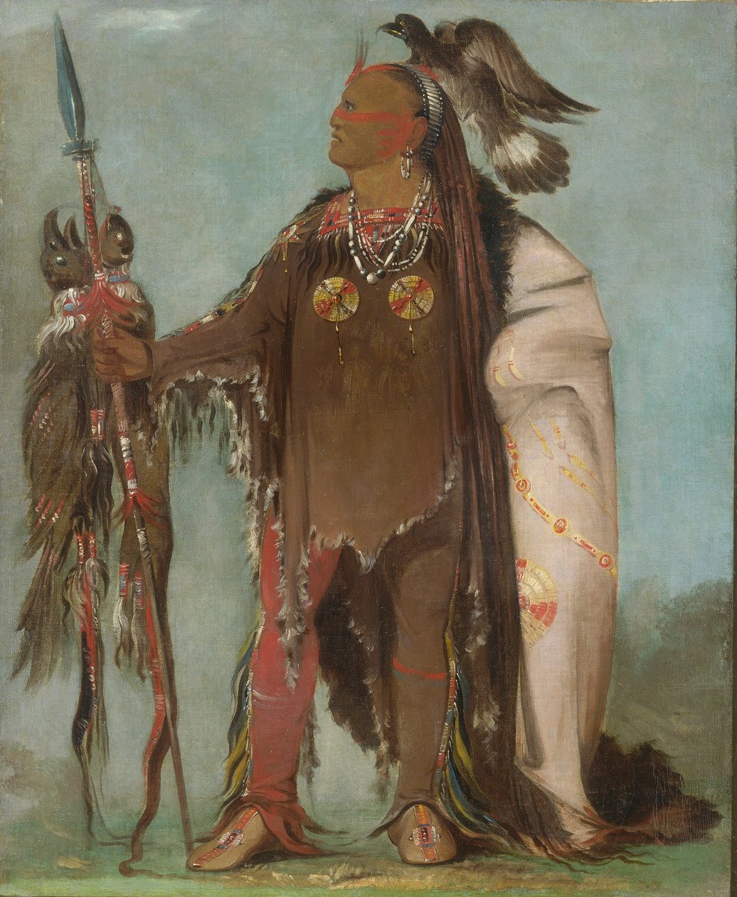 Pa-rís-ka-róo-pa, Dvě vrány, náčelník skupiny od George Catlin