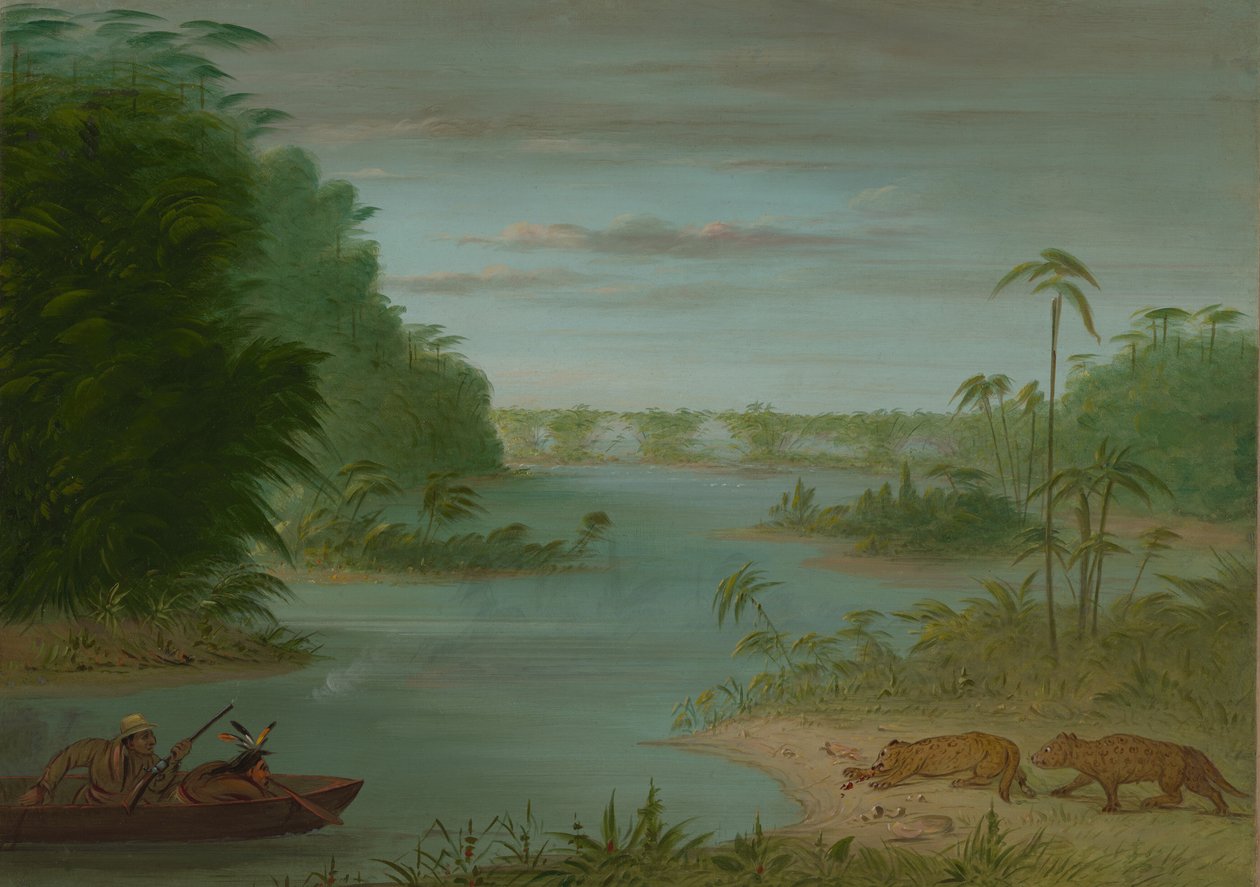 Pont de Palmiers a střelba na tygry, 18541869. od George Catlin