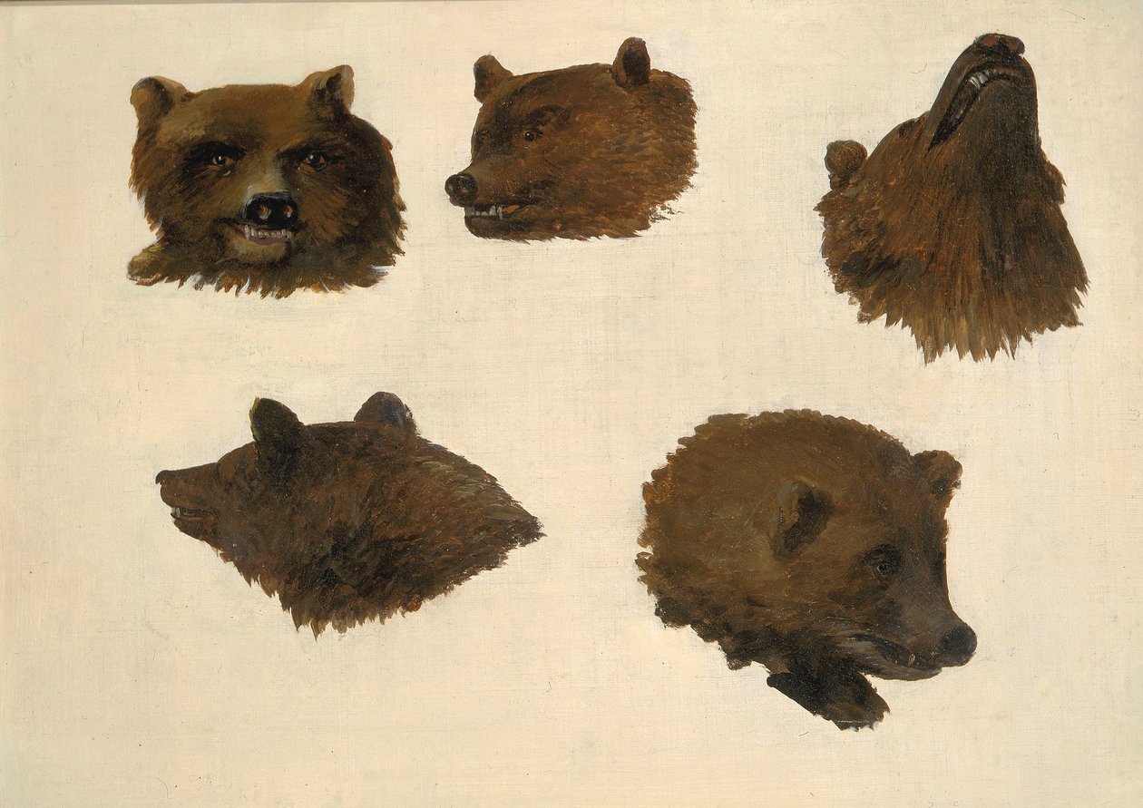 Portréty dvou medvědů grizzly, ze života, 1839-1840. od George Catlin
