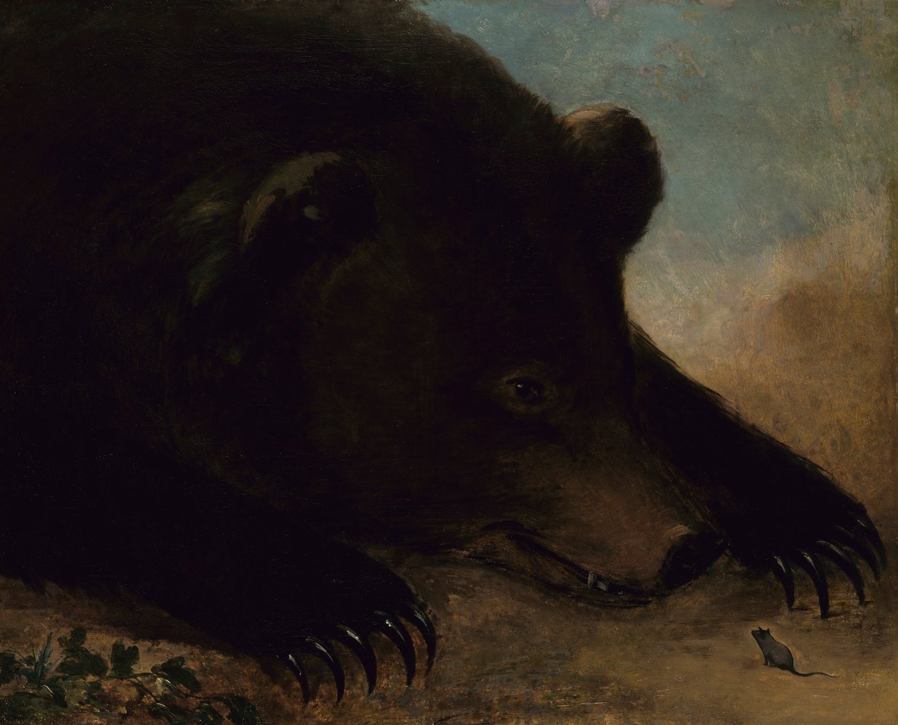 Portréty medvěda grizzlyho a myši v životní velikosti od George Catlin