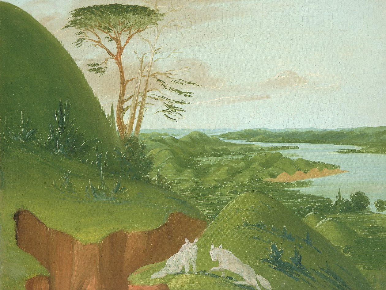 Říční útesy s bílými vlky v popředí, horní tok řeky Missouri od George Catlin