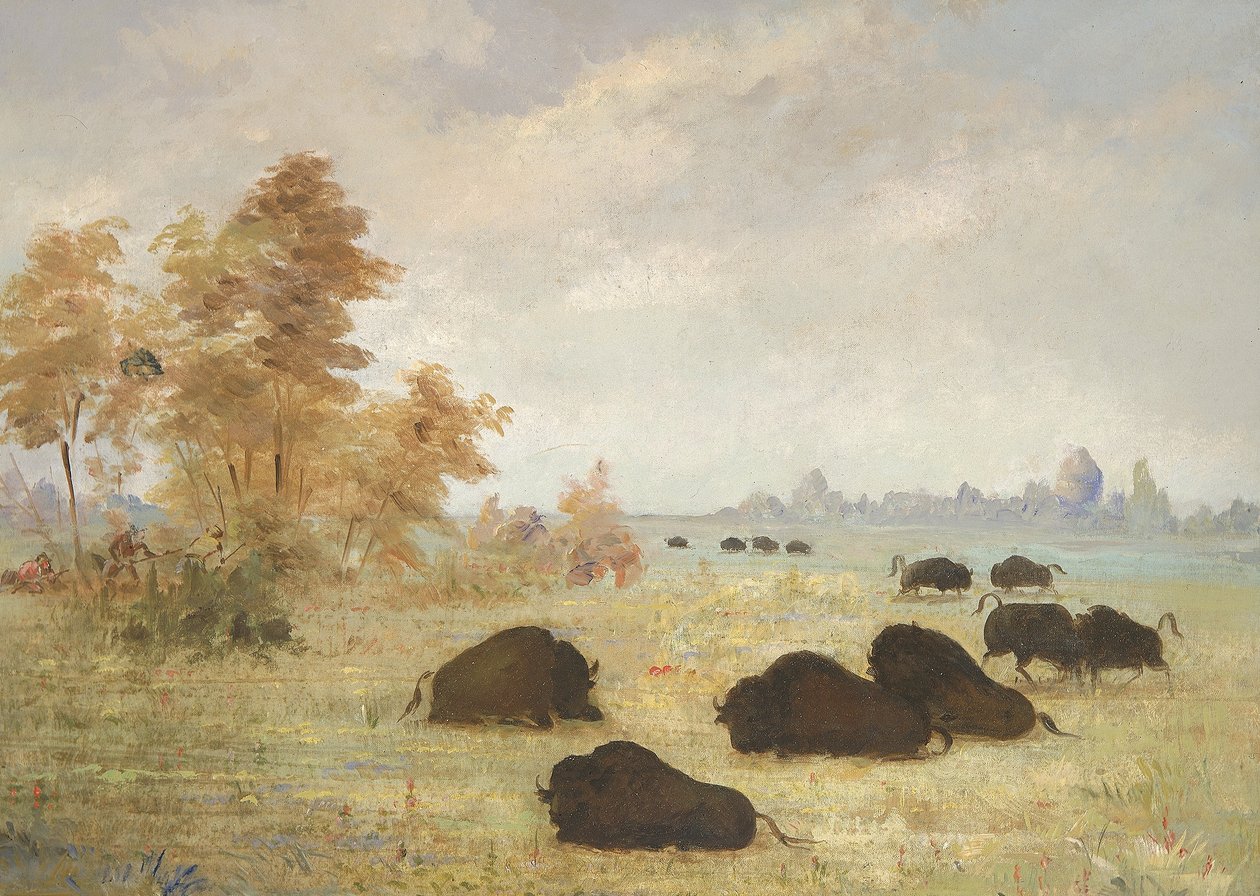 Stalking Buffalo, Arkansas od George Catlin