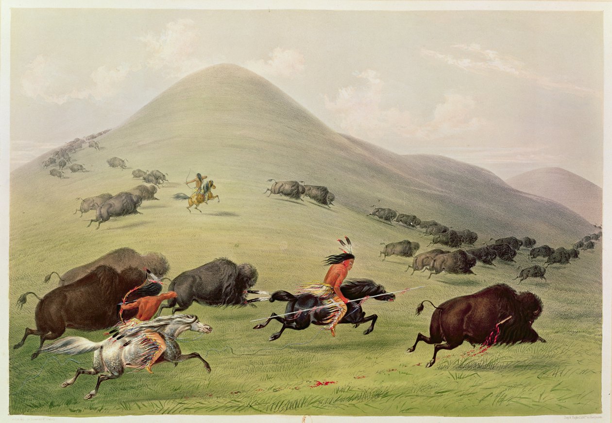 Buffalo Hunt, kolem roku 1832 od George Catlin