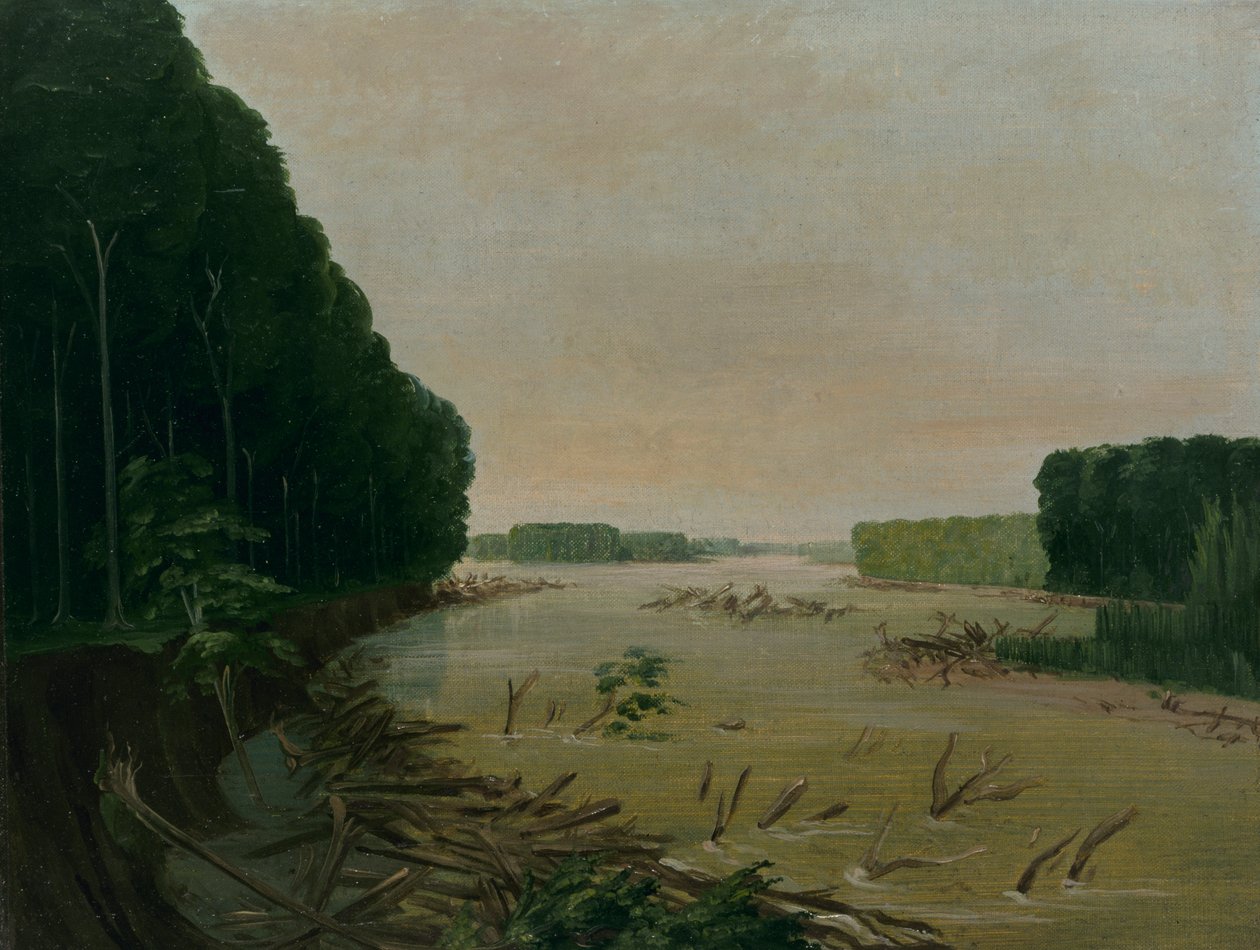 Pohled na Missouri, Aluvial Banks Falling in, 600 Miles nad St. Louis, 1832. od George Catlin