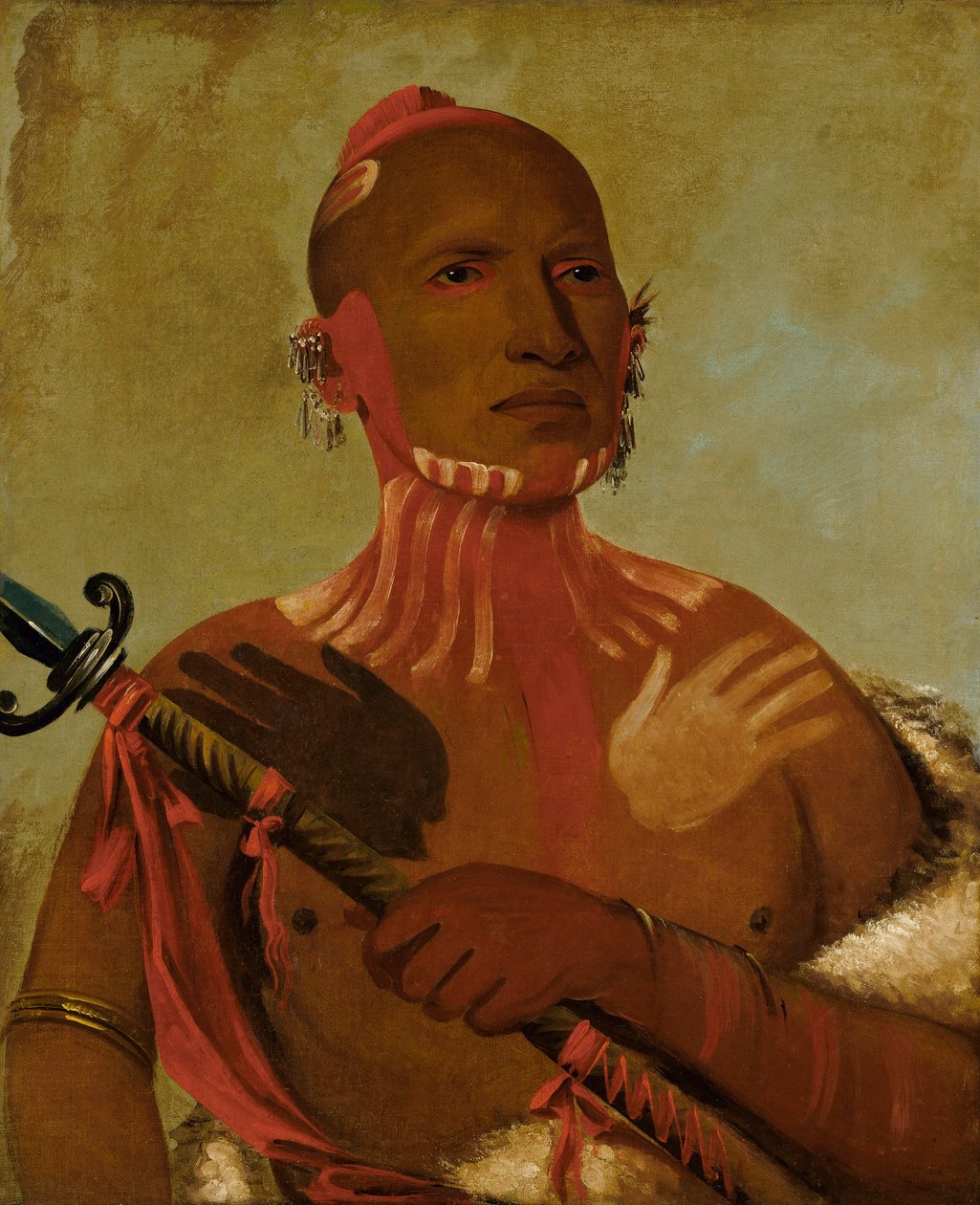Wée-sheet, Jeseterova hlava, Liščí bojovník od George Catlin
