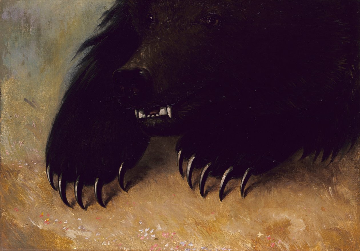 Zbraně a fyziognomie medvěda grizzlyho od George Catlin