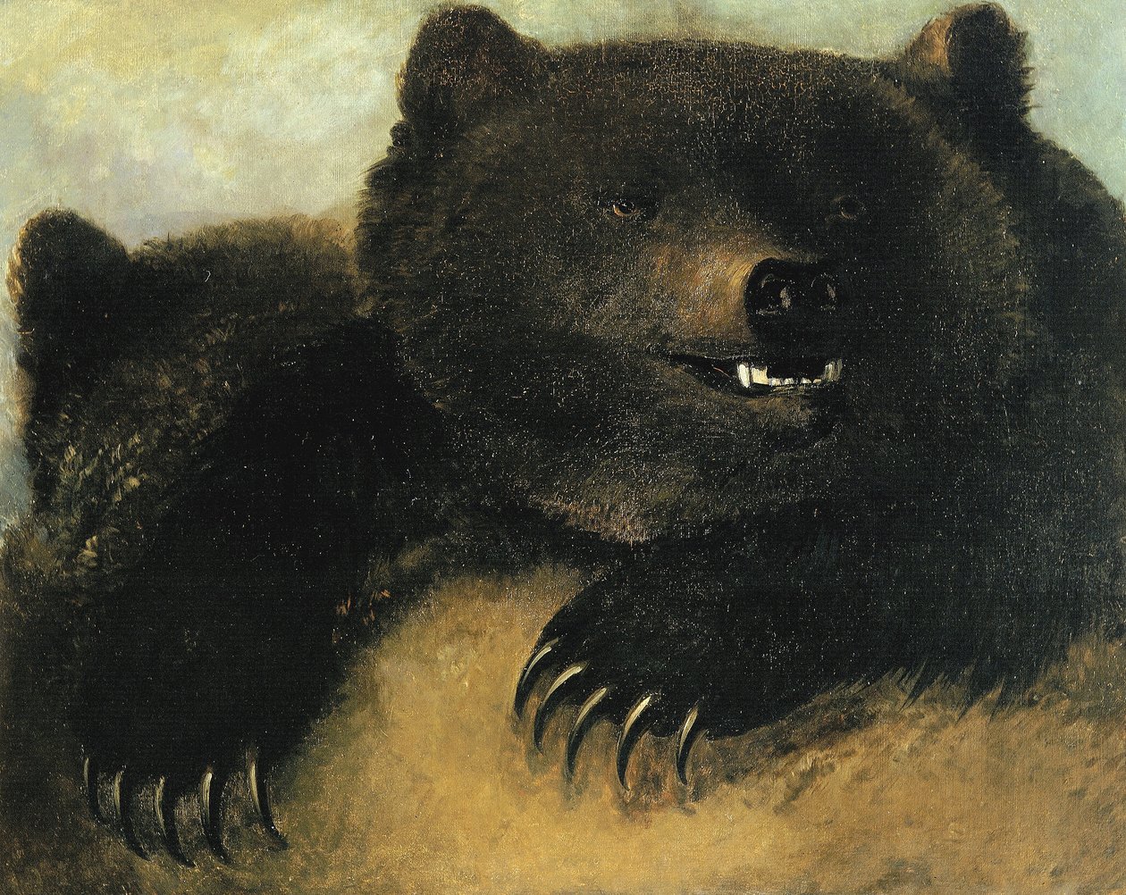 Zbraně a fyziognomie medvěda grizzlyho od George Catlin