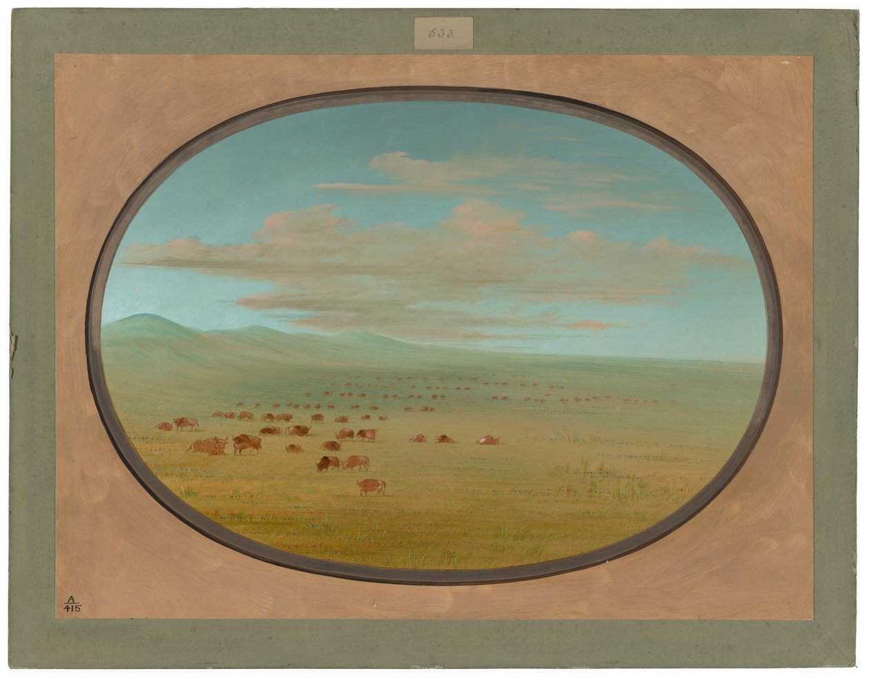 Divoký dobytek pasoucí se na Pampa del Sacramento od George Catlin