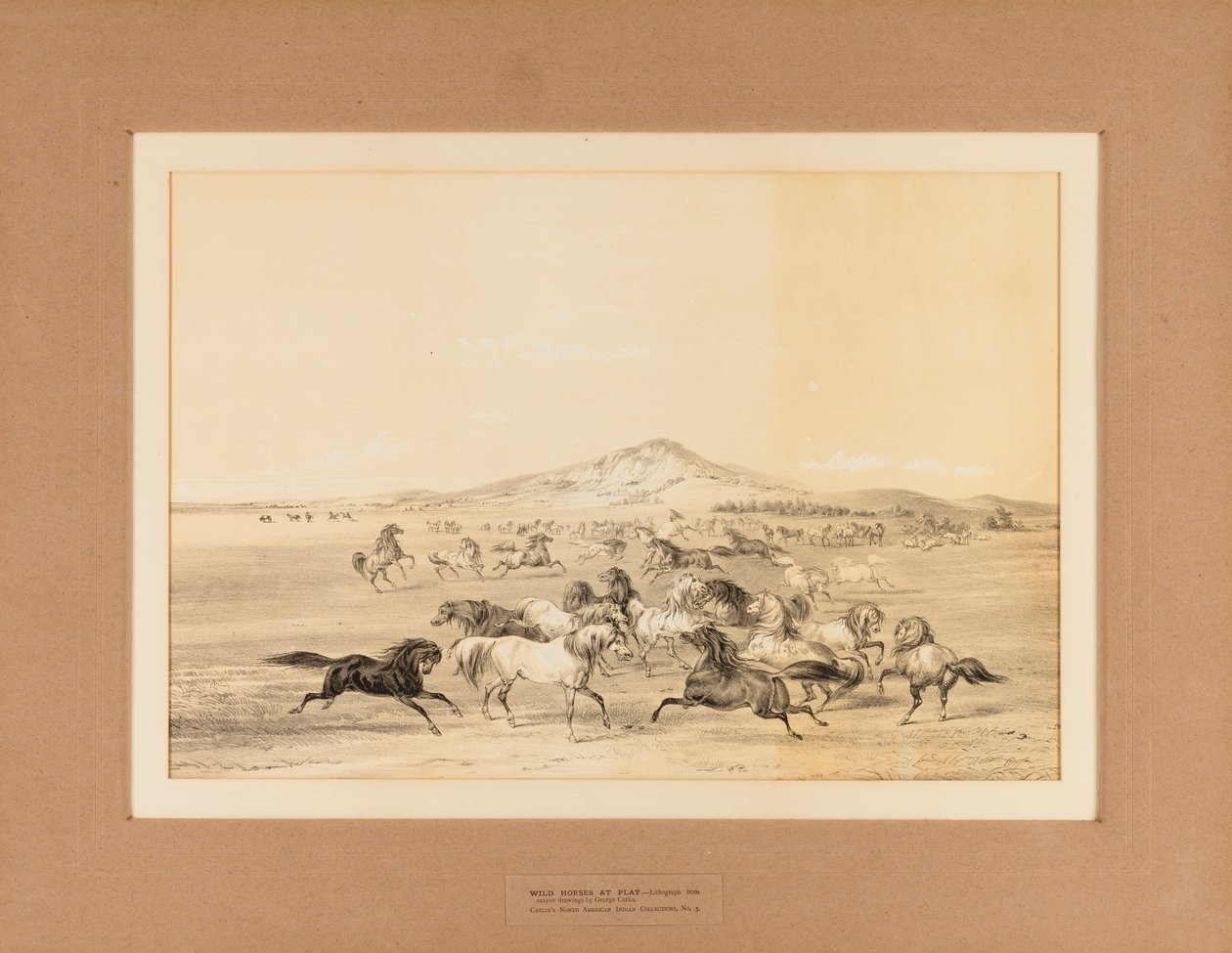 Divocí koně při hře - ne. 3 od George Catlin