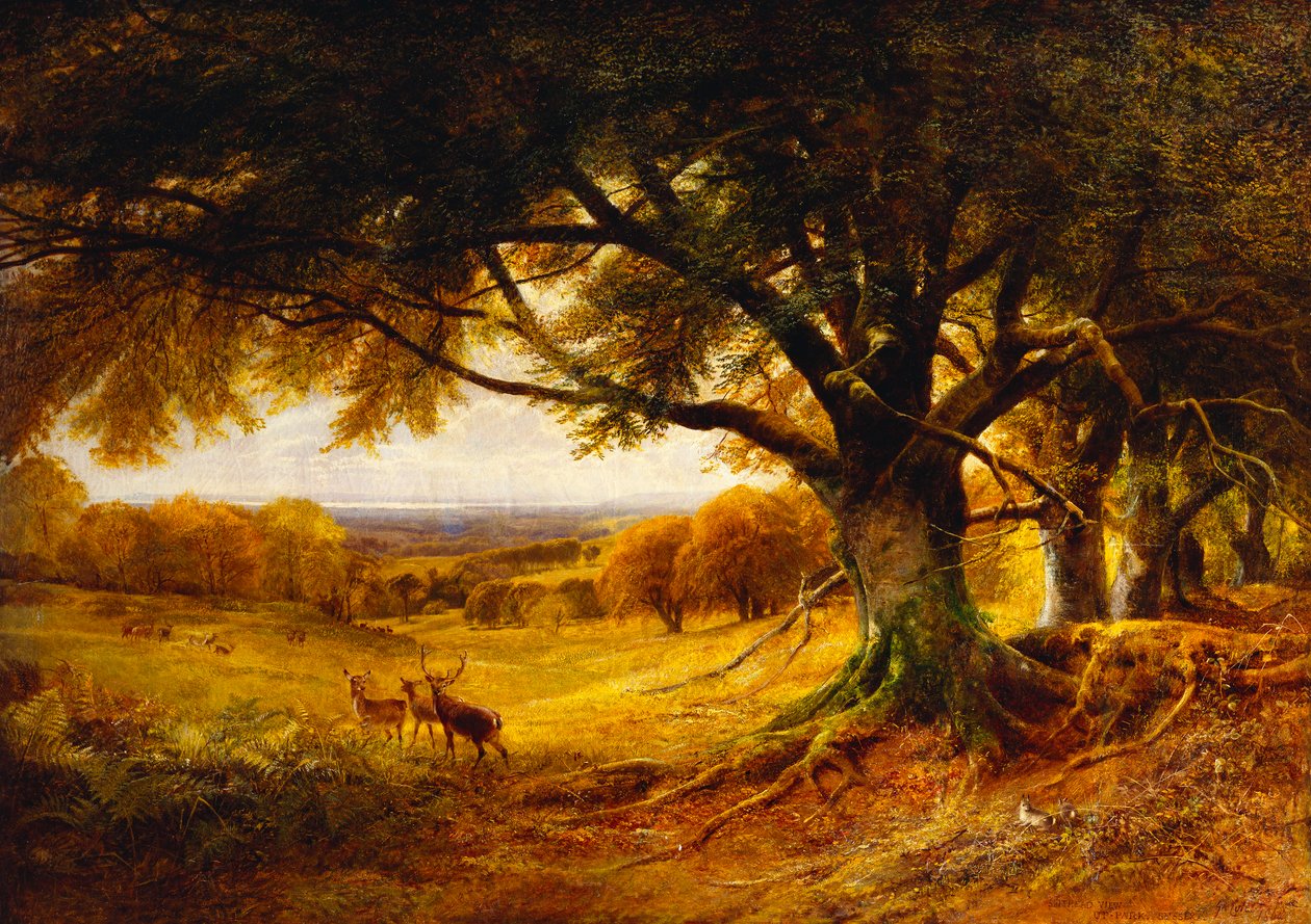 Spithead, Uppark, Sussex, 1868 od George Cole