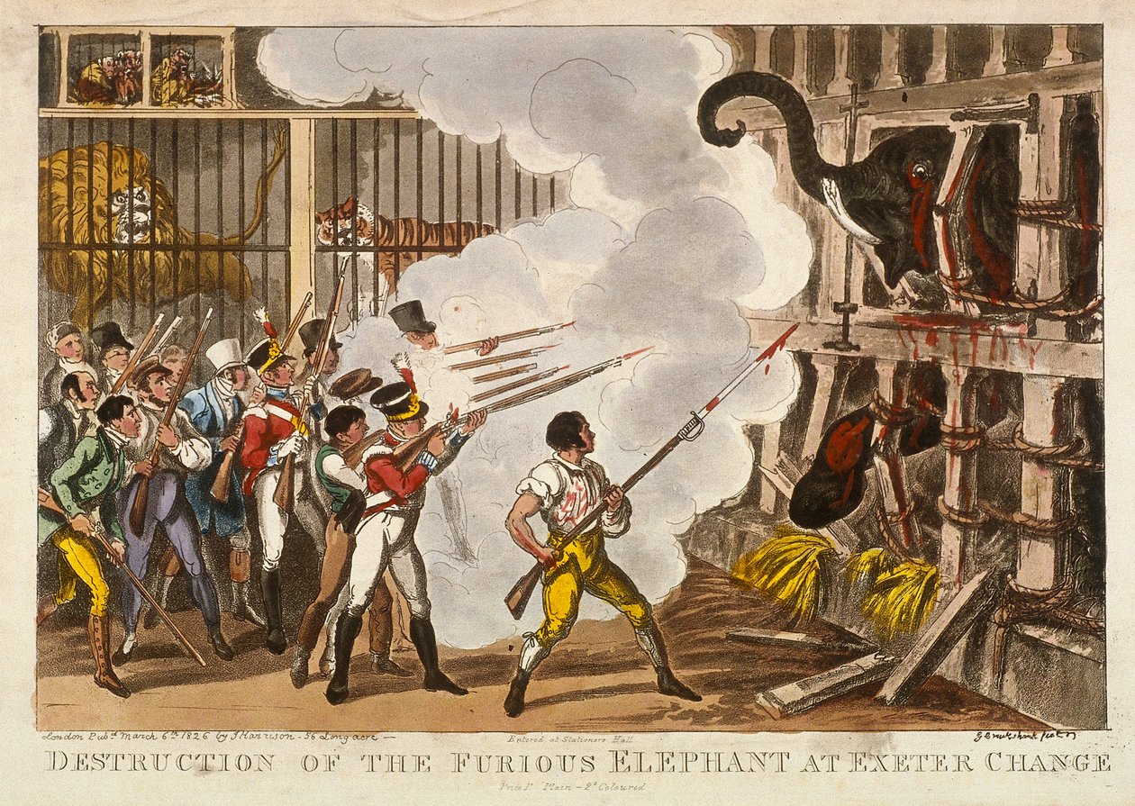 „Zničení zuřivého slona v Exeter Change“, 1826 od George Cruikshank