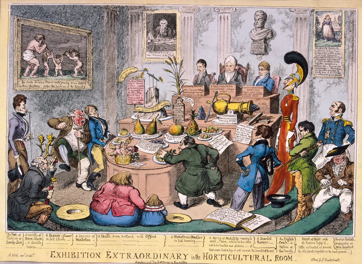 Výstava v Royal Horticultural Society, Londýn, 1826 od George Cruikshank