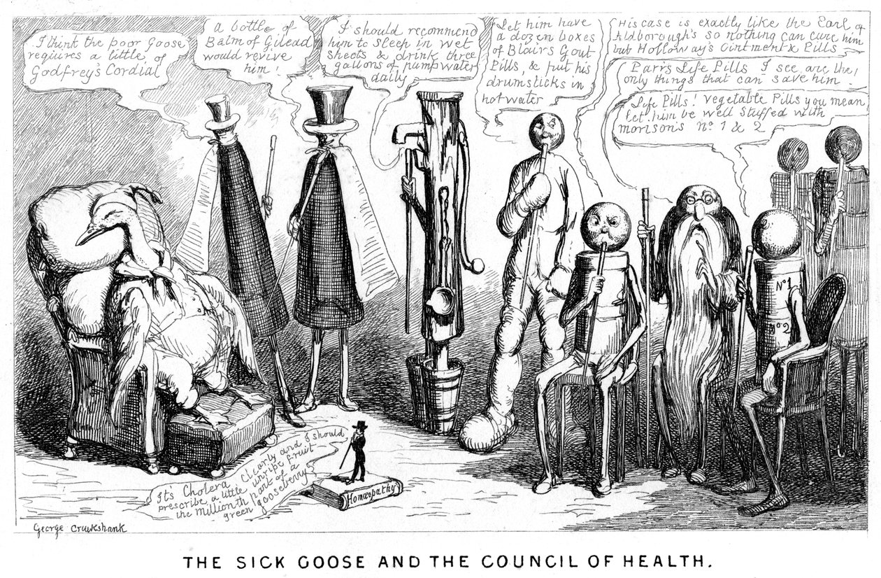 Nemocná husa a Rada zdraví, 19. století od George Cruikshank