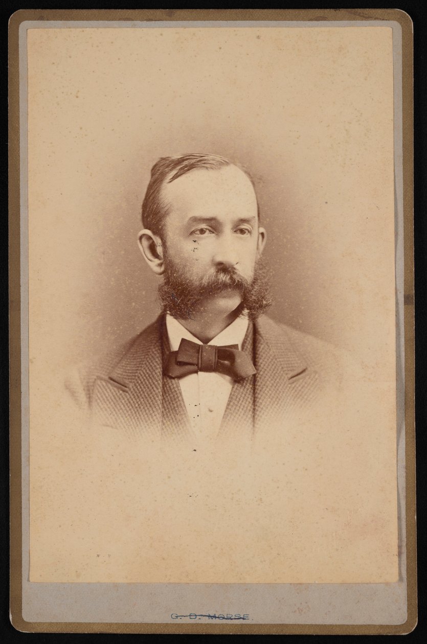 Portrét Daniela Coita Gilmana 1831-1908, cca 1875. od George Daniels Morse